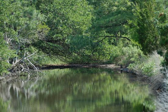 Brock Environmental Center