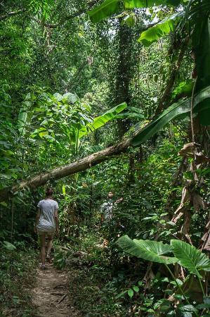 Khao-Mai-Kaeo-Höhle