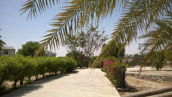 Majlis Ghorfat Umm Al Sheif