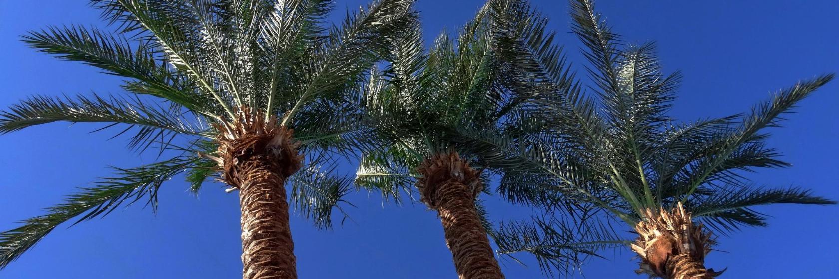 Großraum-Diskothek Mega-Park