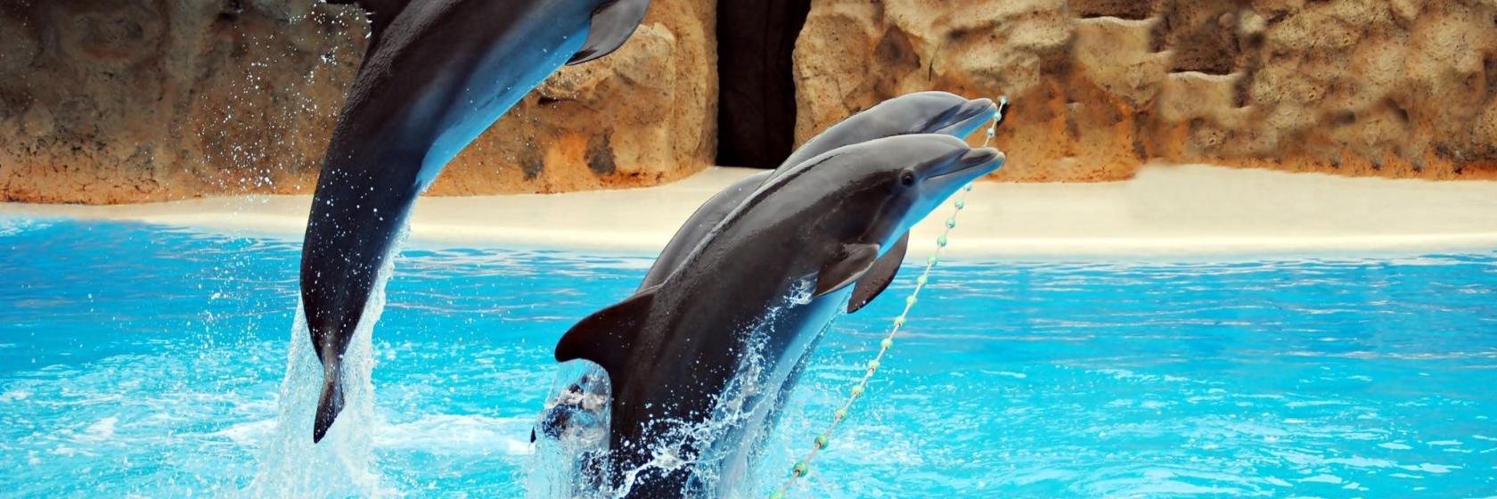 Ocean World Adventure Park