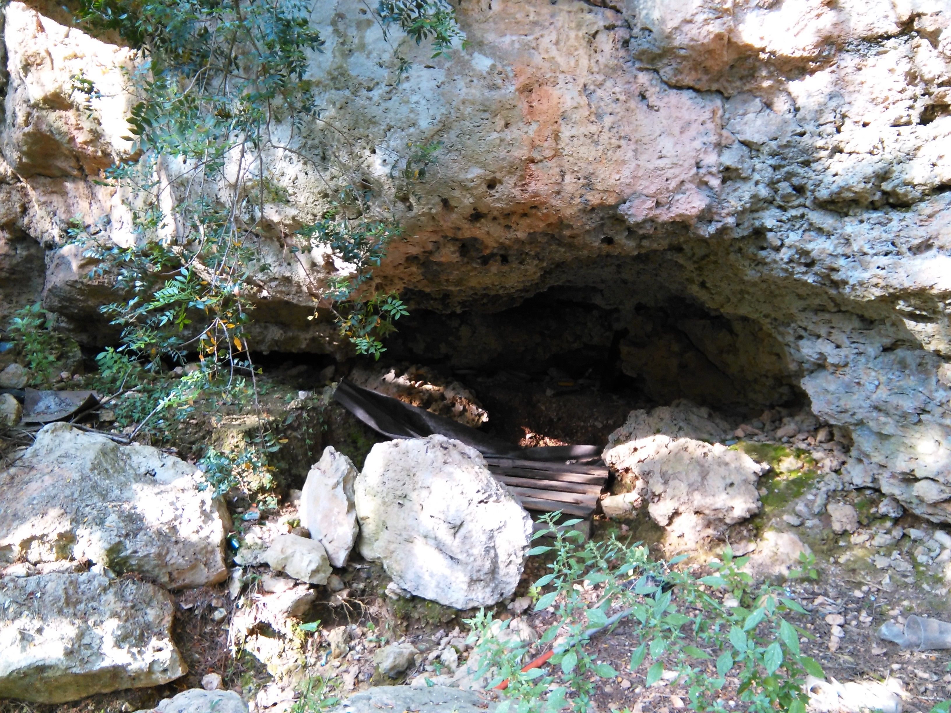 Coves de Son Veri de Baix