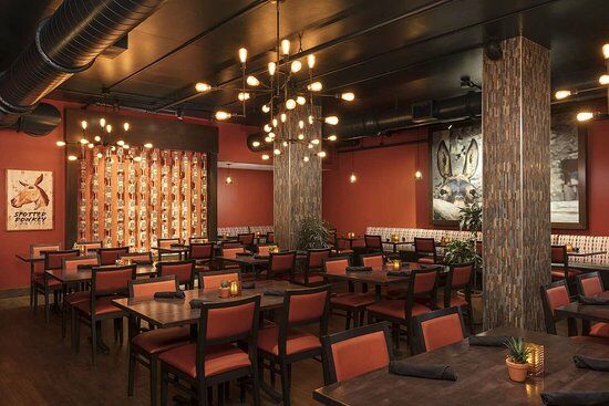 Spotted Donkey Cantina